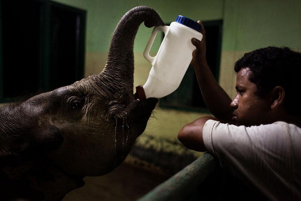 Interview with Serena de Sanctis, New Bronkey ambassador. - Handmade Bronkey Premium Goods ®